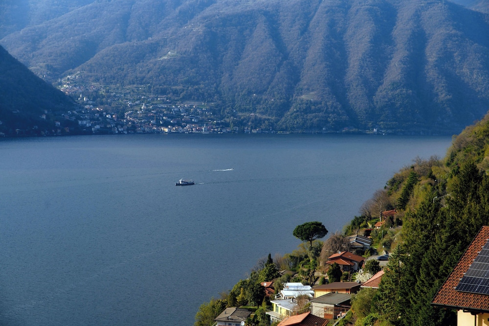 Nesso Mosaic