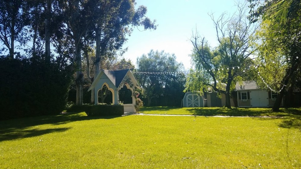 Photo 51