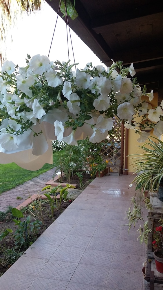 Casa di Campagna Dal Pozzo