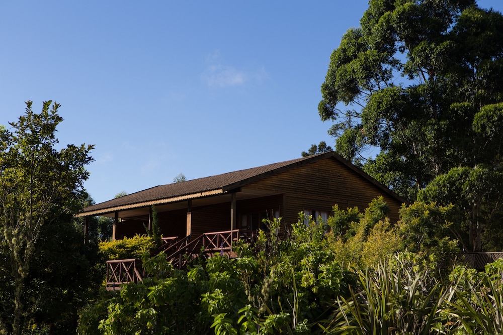 ANEW Resort Ingeli Forest Kokstad