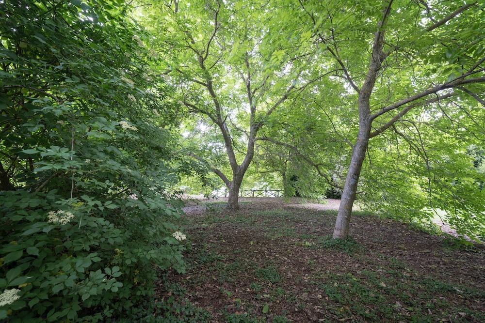 Photo 68