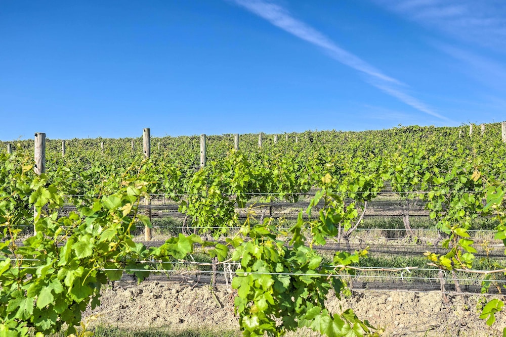 Finger Lakes Farm Retreat: Walk to Wineries! view 4