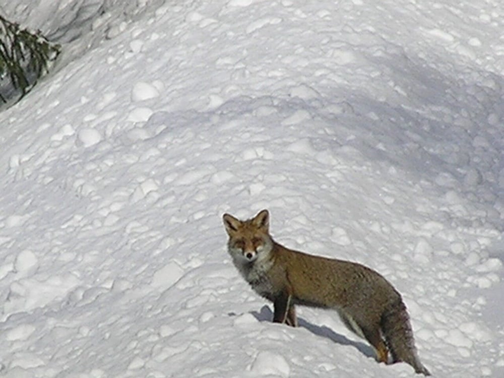 Photo 24