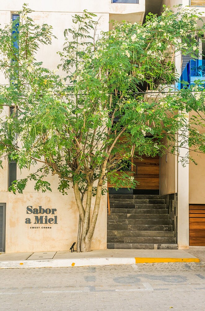 Sabor A Miel by Stella Rentals view 3