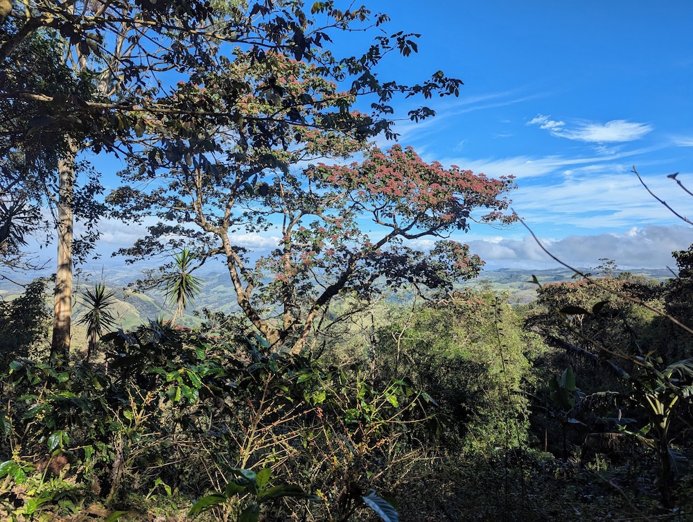 Campos de Oro Wilderness Lodge