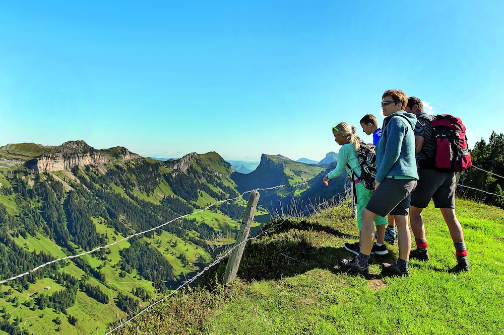 Interlaken Vacations - Hotel Krebs - Property Image 4