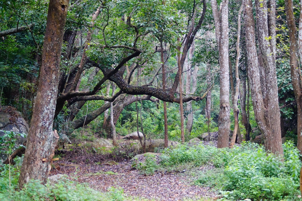 Secret Valley Jungle Resort
