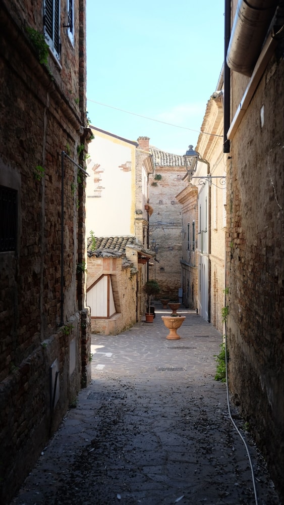 Photo 45