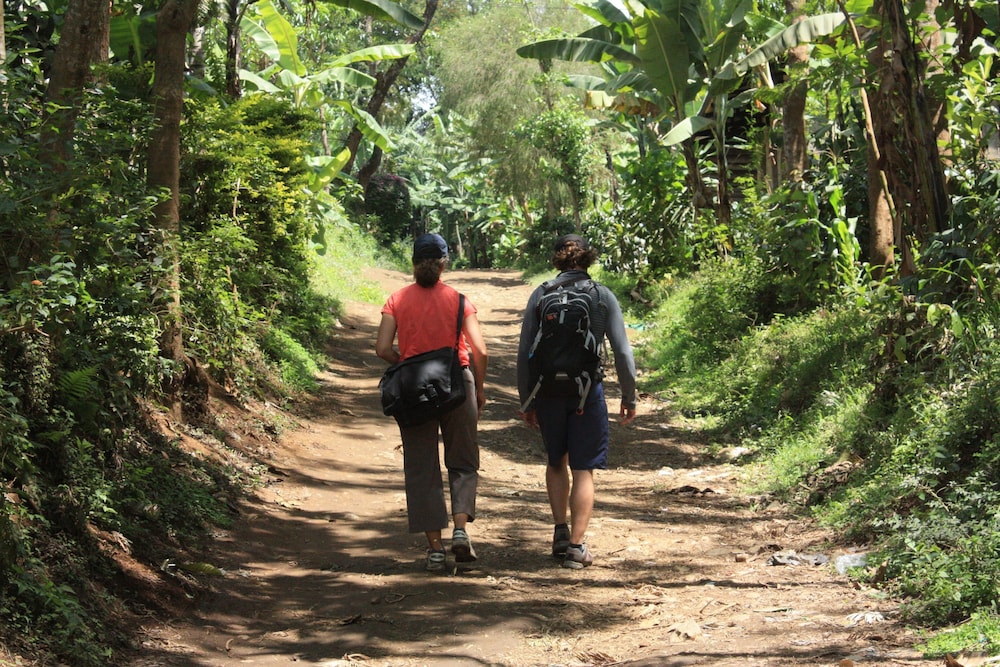 The Vijiji Center Lodge and Safari