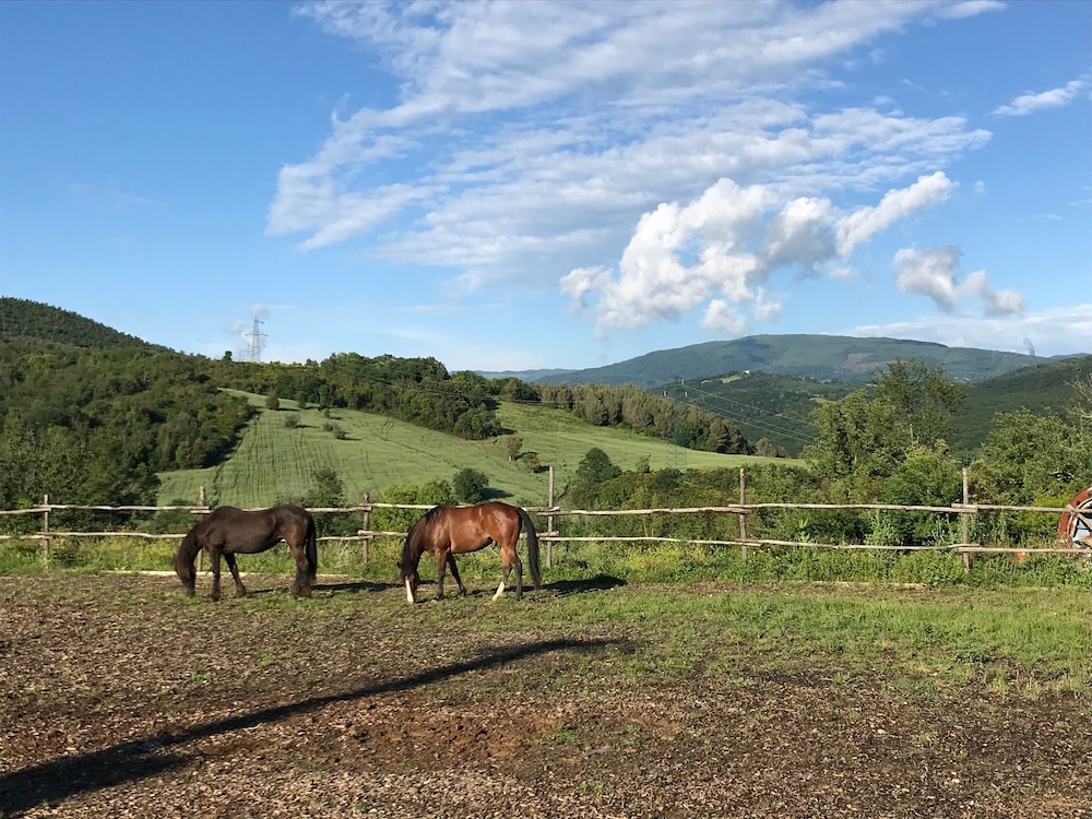 Agriturismo San Ottaviano