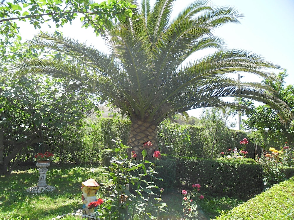 Photo 29
