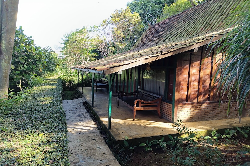 Mendulang By Belza