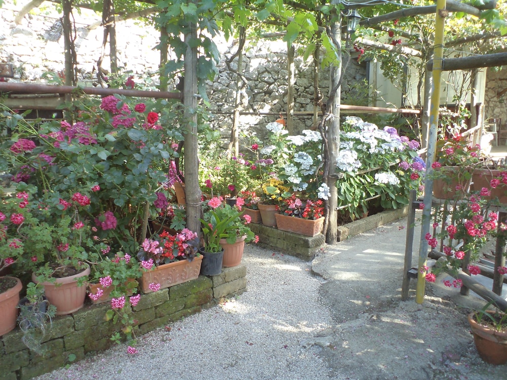 B&B Puntaferano