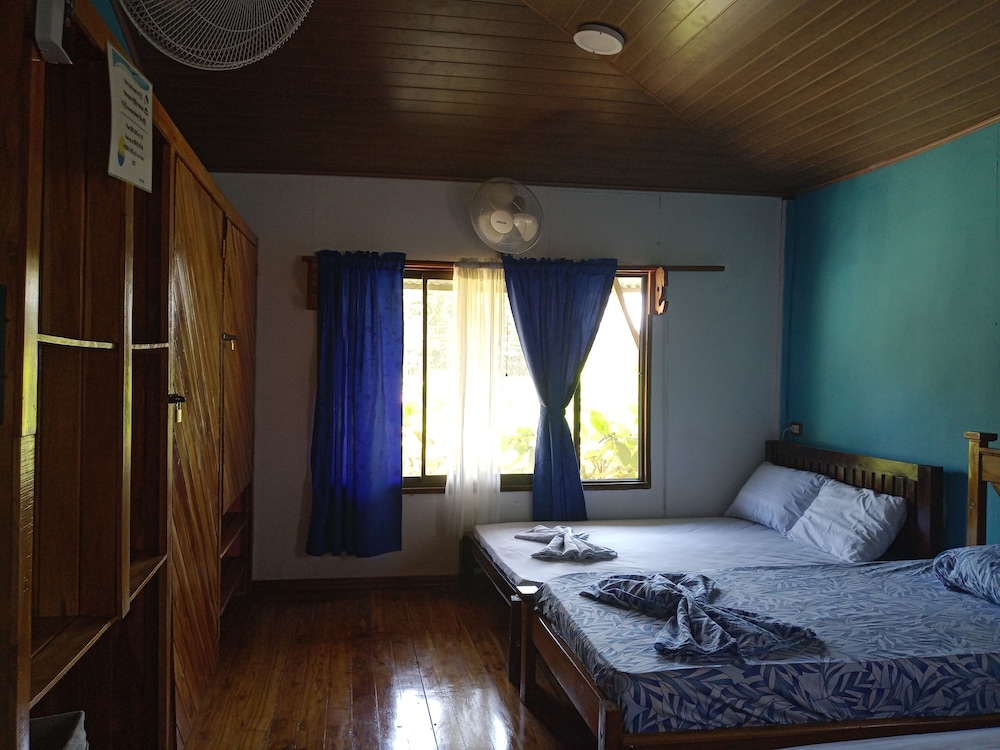 Photo 46