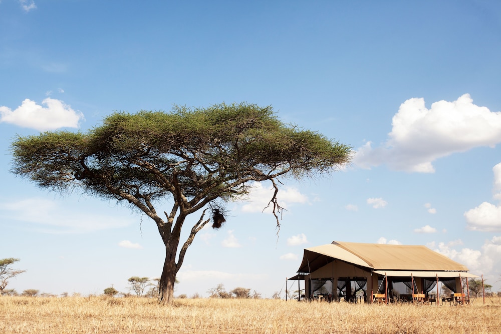 Pumzika Luxury Safari Camp - East Africa Camps