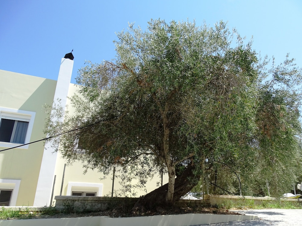 Lyrids Apartments en Rethymno