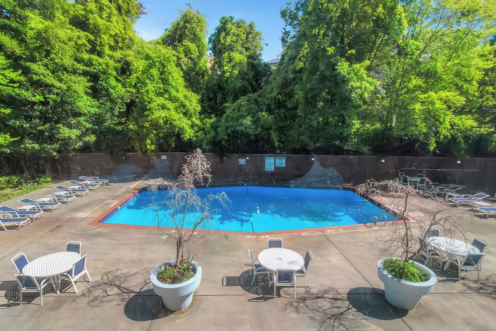 Spacious 3BR Condo in DTWN