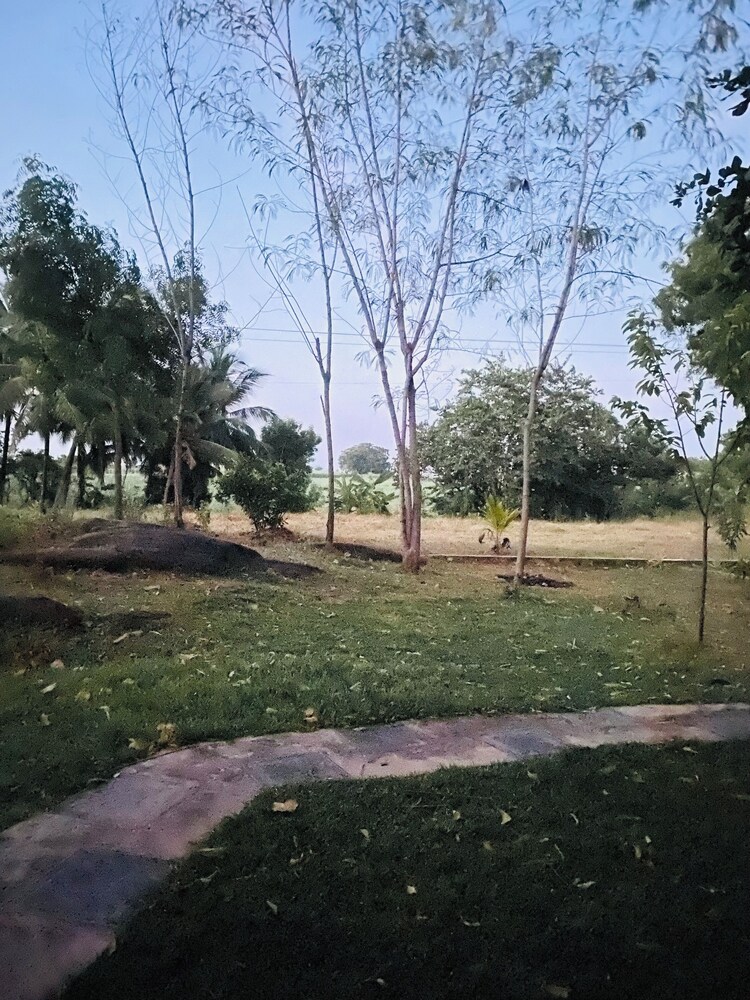 Photo 33