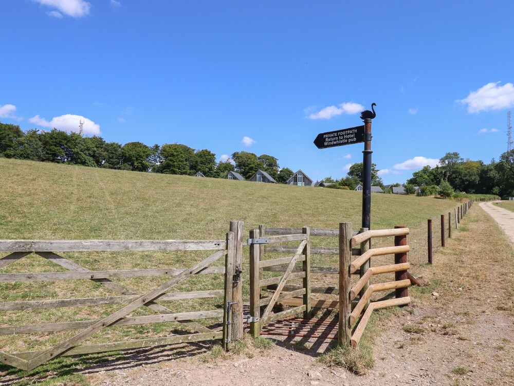 Swandown, 3 Blackdown