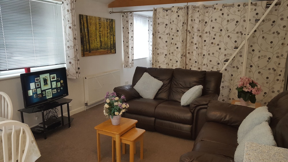 Immaculate 1-Bed Lodge Newton Abbot Torquay view 5