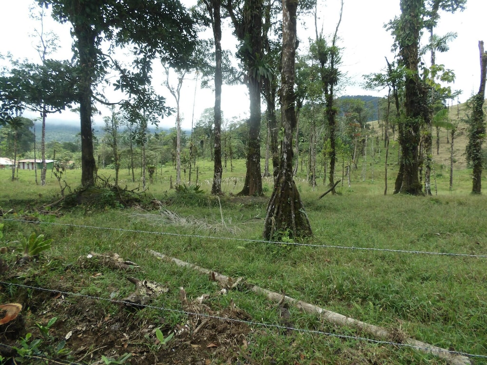 Pura Vidaville - Hiker's Hideaway
