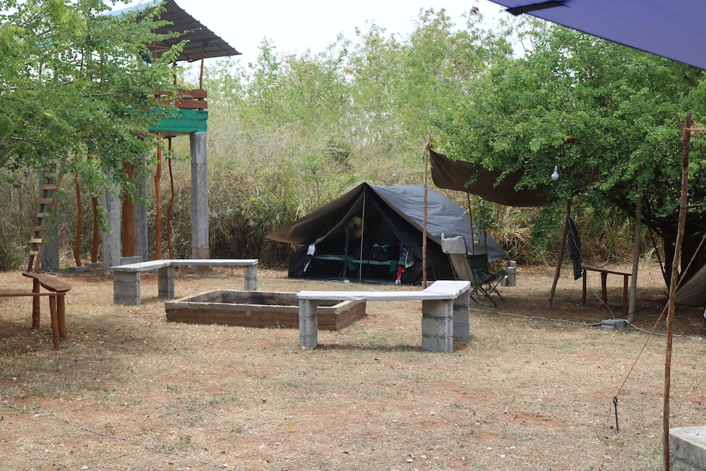 Dev's Campground