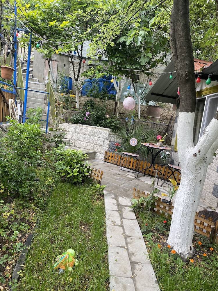 Photo 46