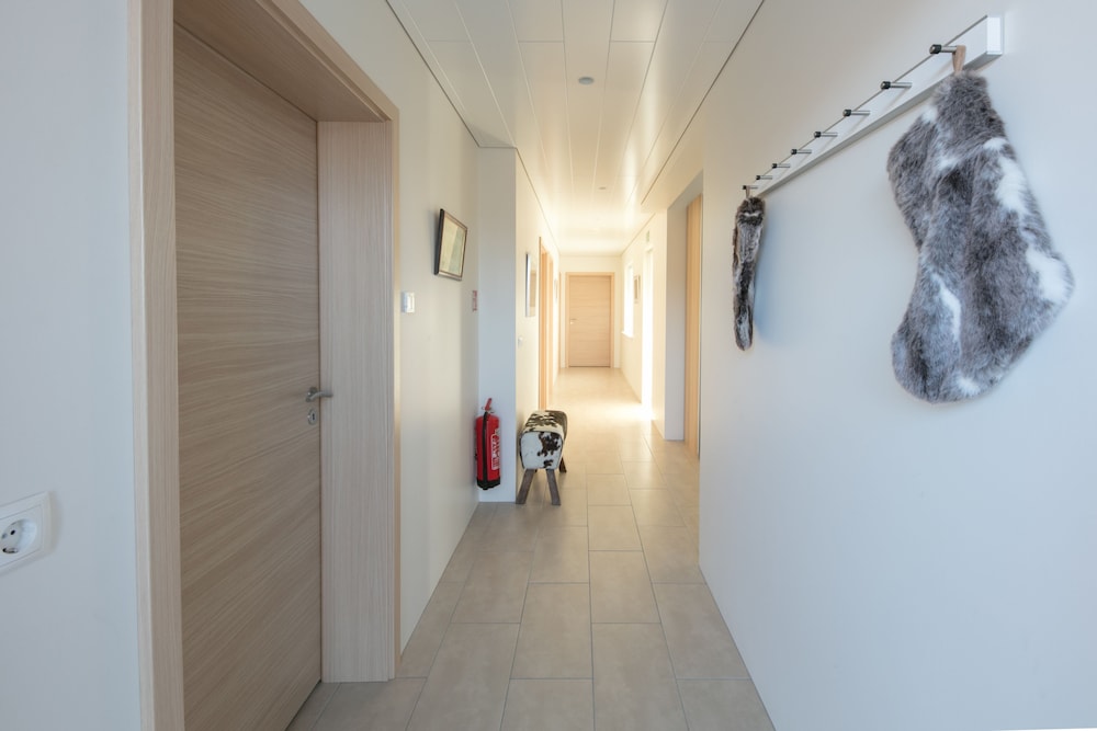 Húsafell Holiday Homes, photo 44