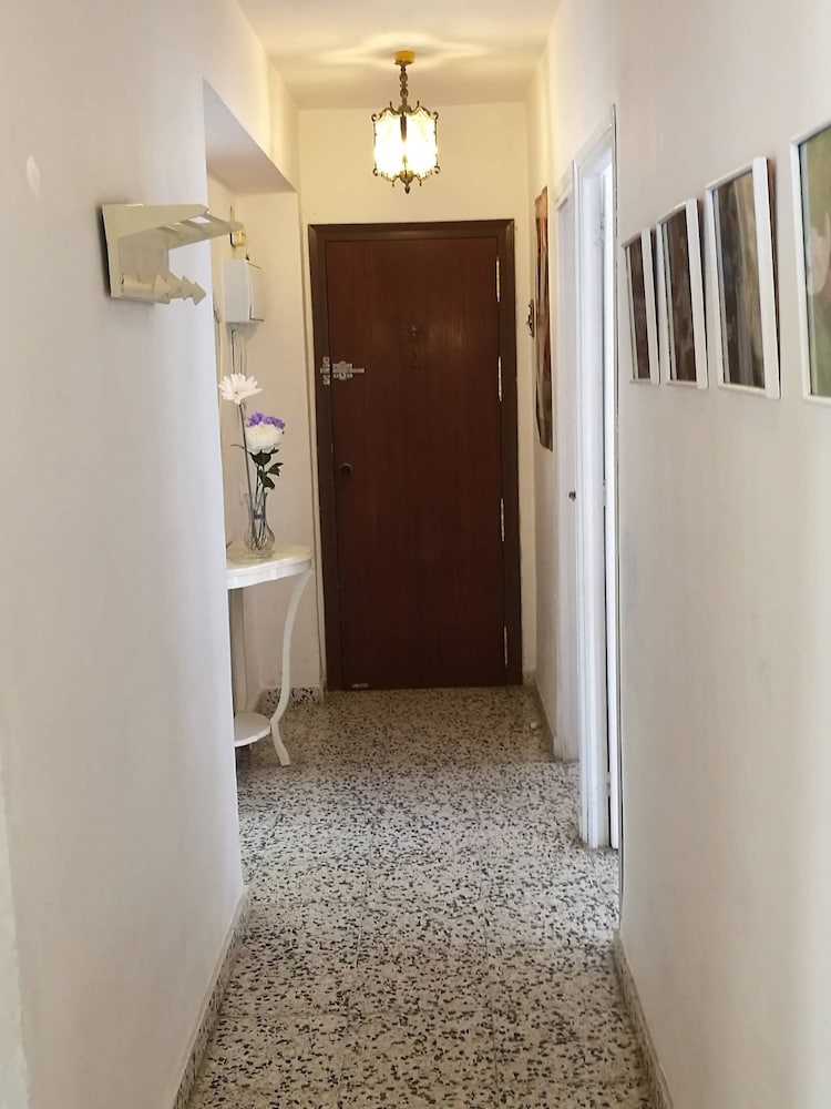 Apartment A 150 M From the Beach, With Three Bedrooms for 6 People photo 4
