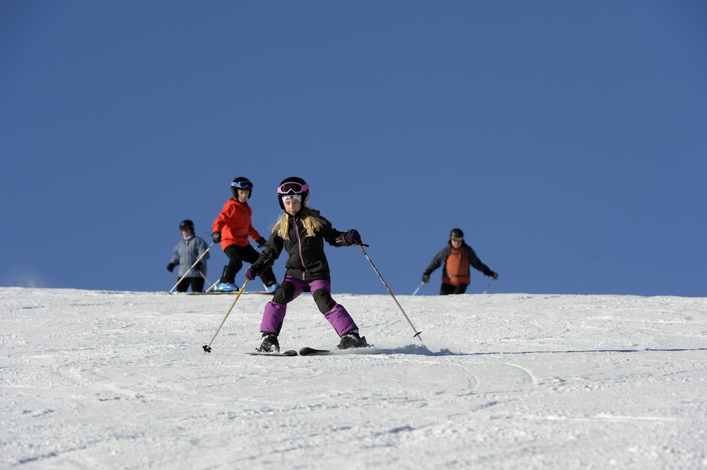 Hassela Ski Resort Cabins