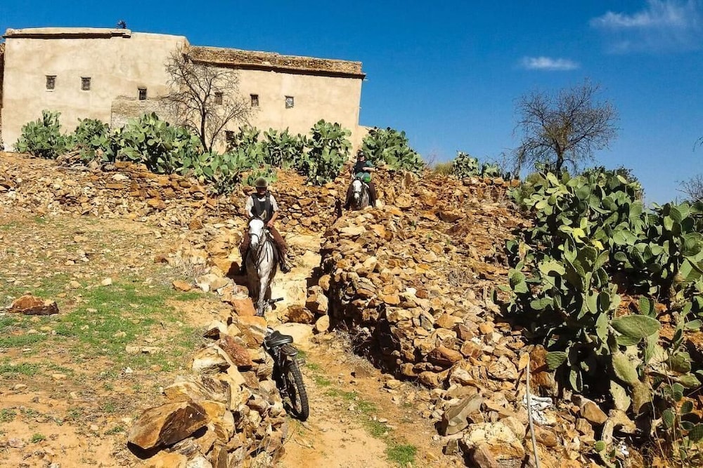 Photo 25