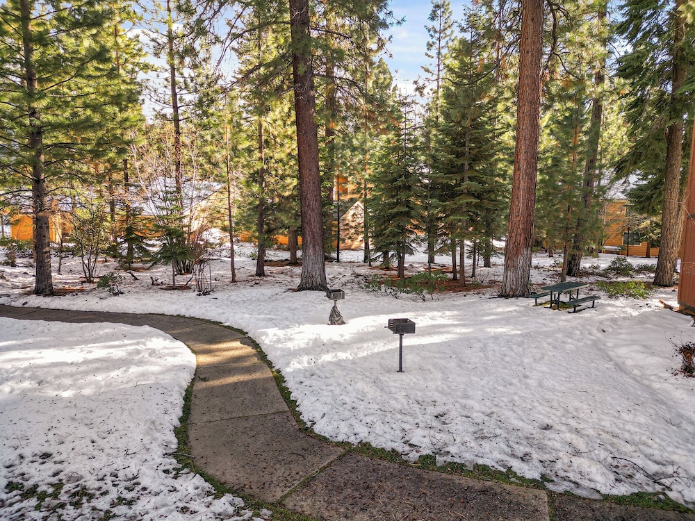 Sierra Pines Retreat Sleeps 6!