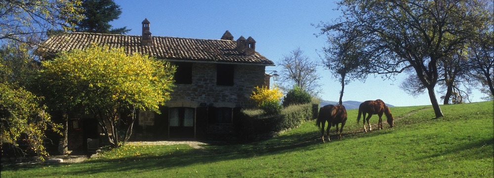 Tenuta Le Silve