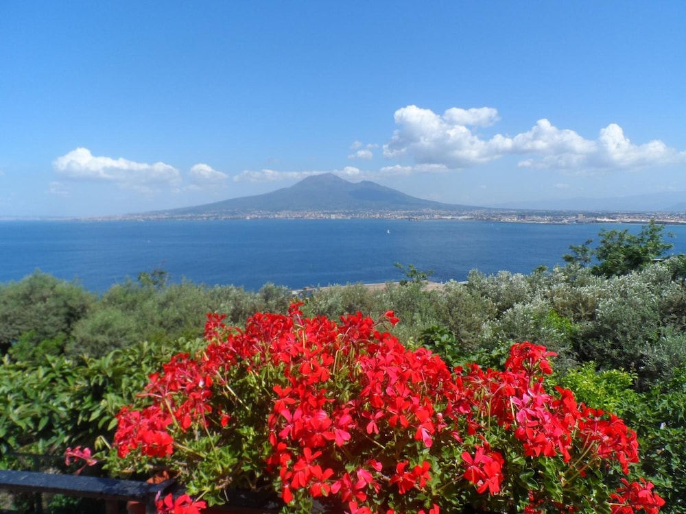 Ancelle Sorrento