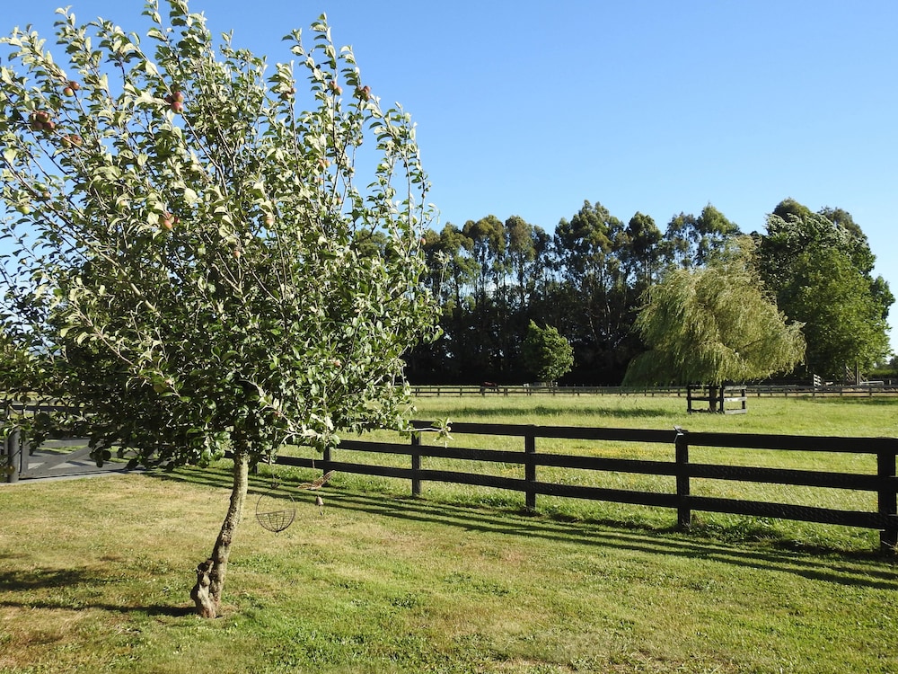Grasslands Bed & Breakfast, photo 12