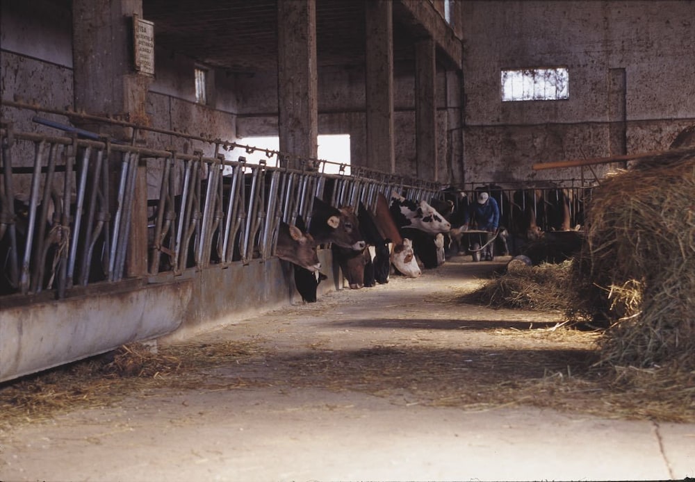 Agriturismo San Giuliano