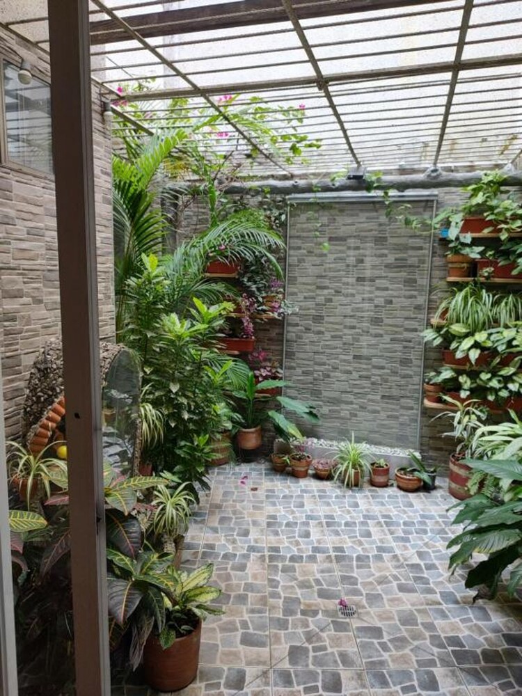 Nora's Laureles
