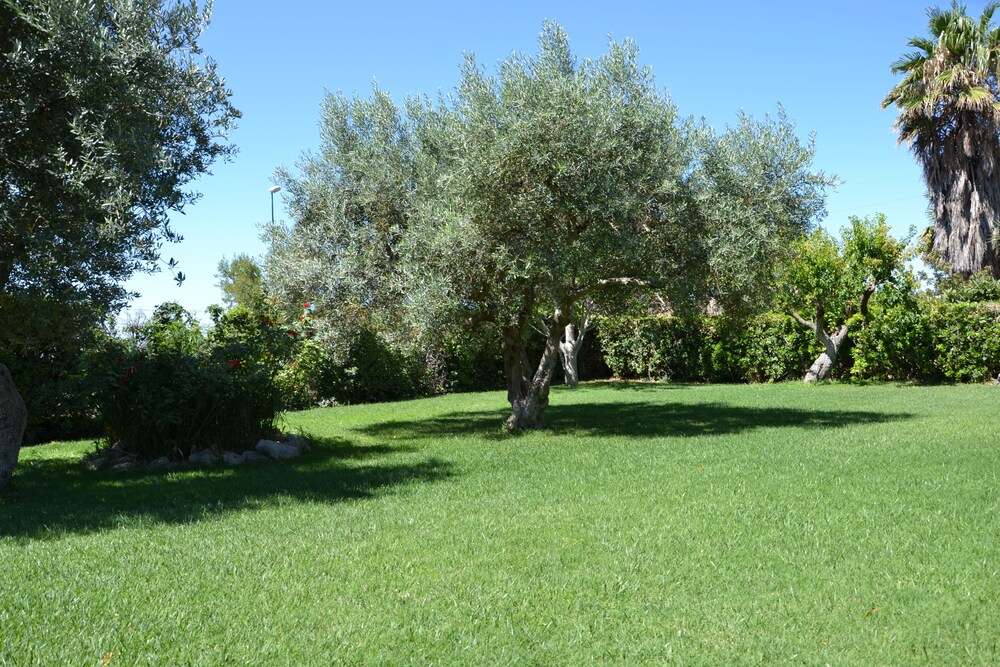 Photo 42