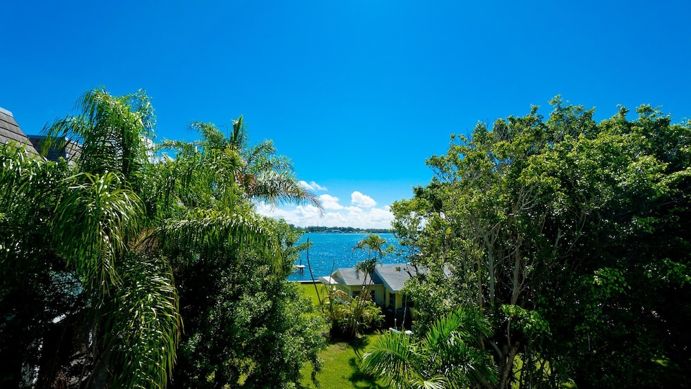 Anna Maria Island Beach Palms 8B view 2
