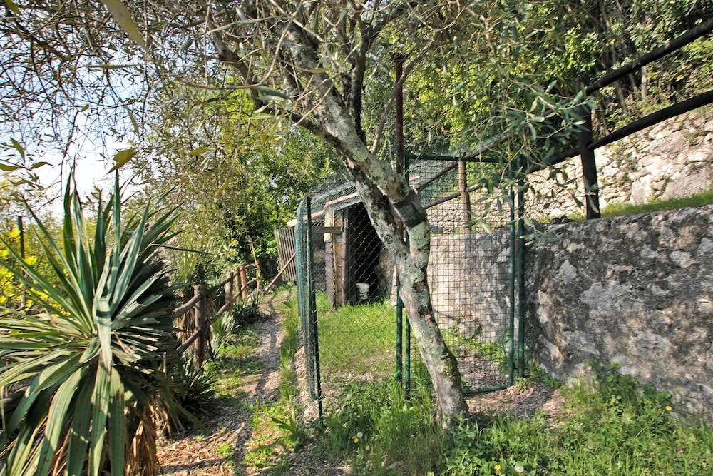 Gargnano Apartments