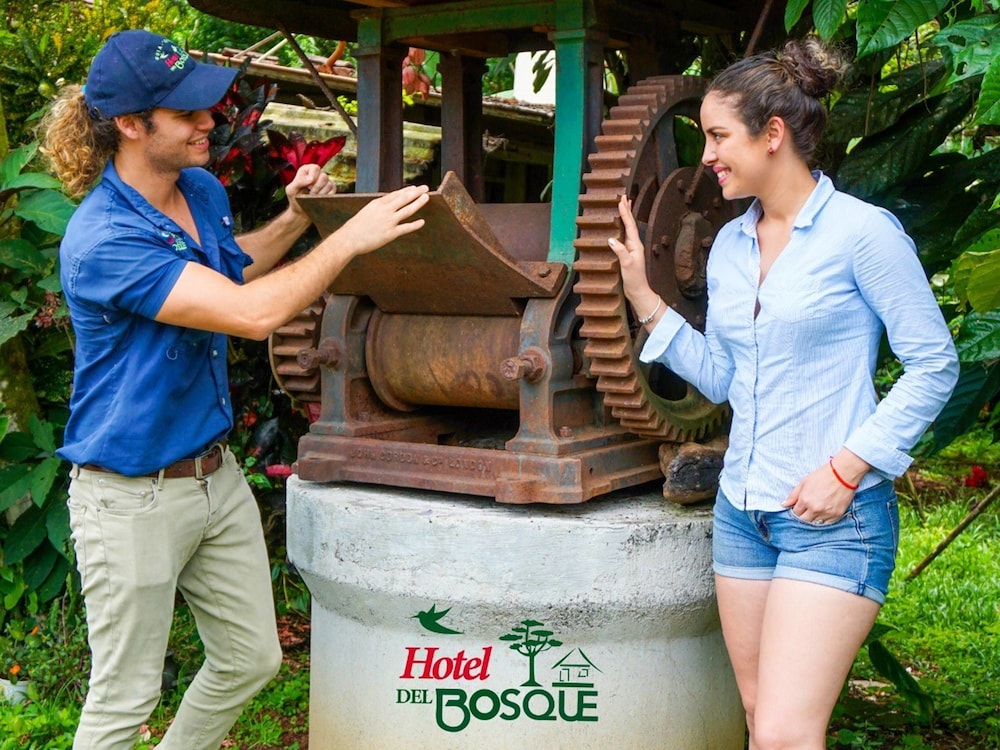 Hotel del Bosque