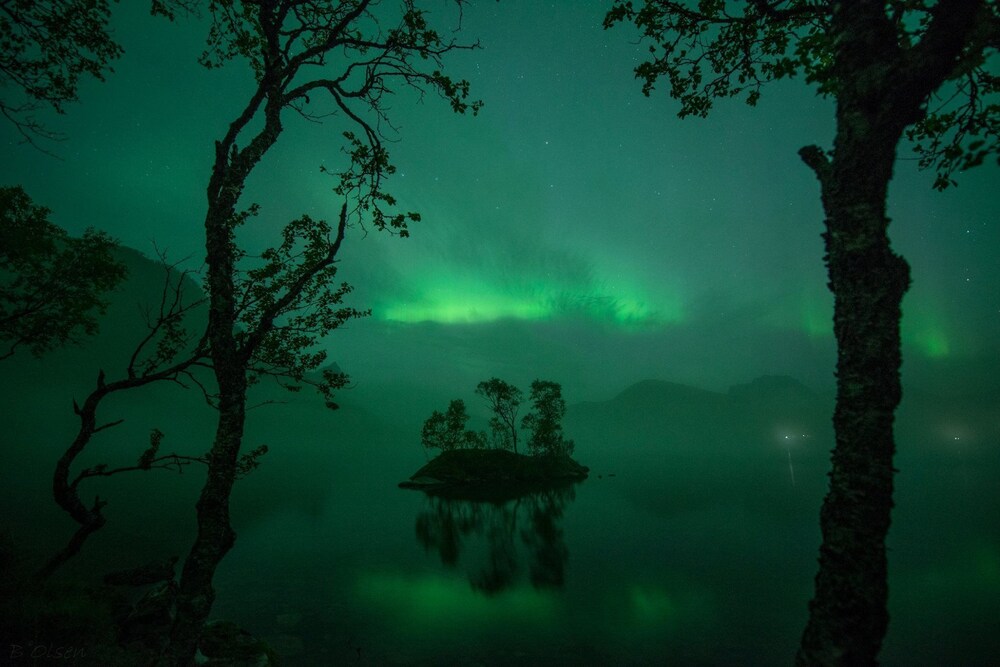 Skrolsvik Kystferie