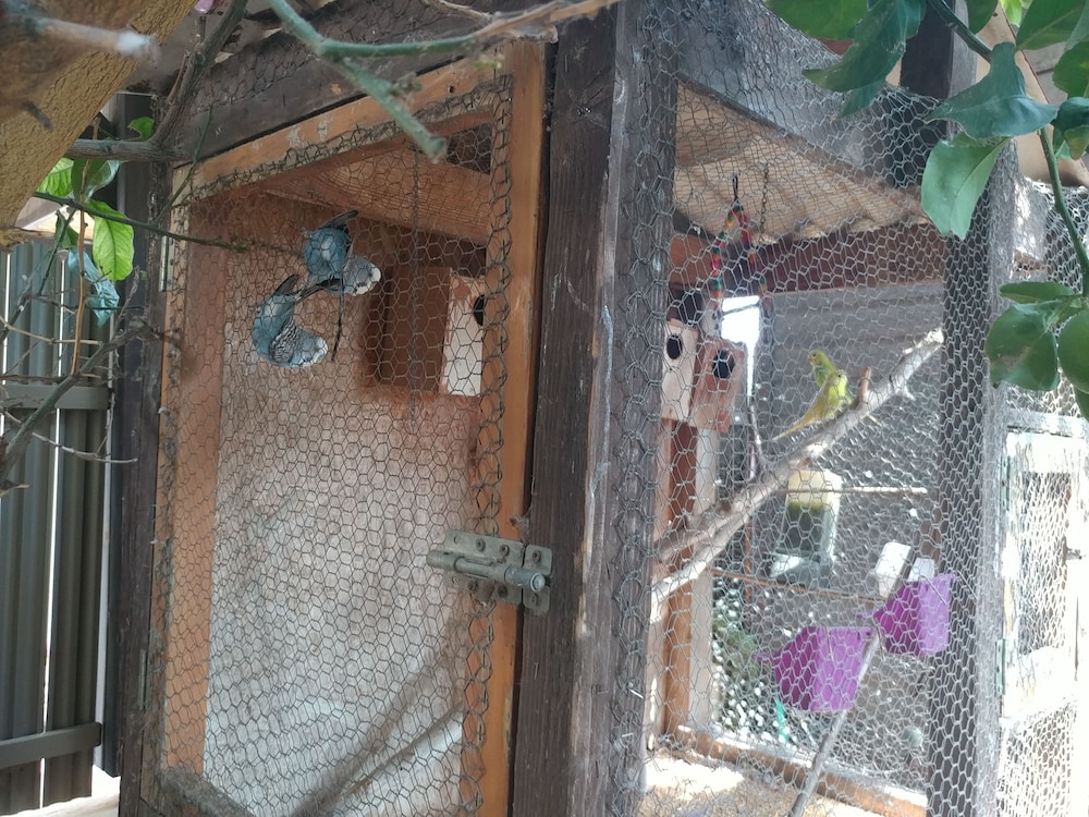 Assaf's Cabin, photo 9