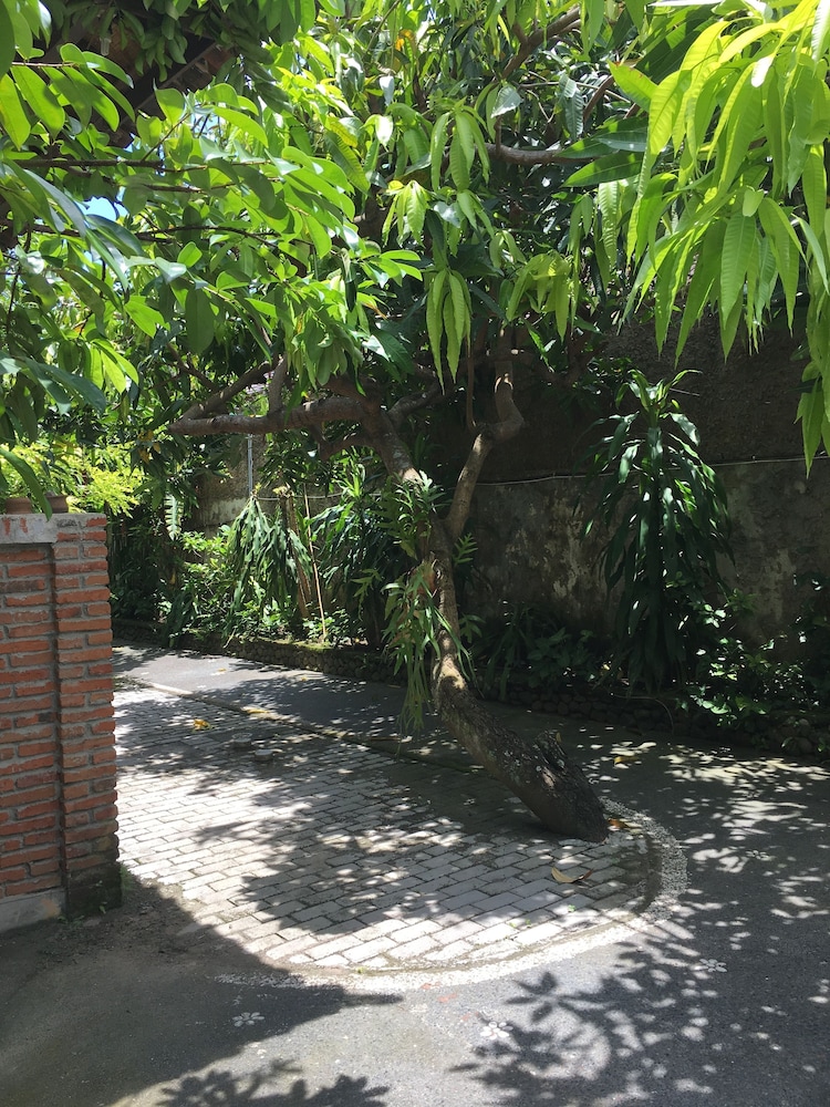Cafe Wayan Cottages