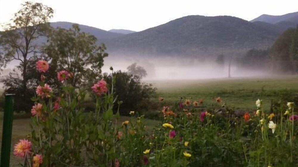 Pisgah View Ranch