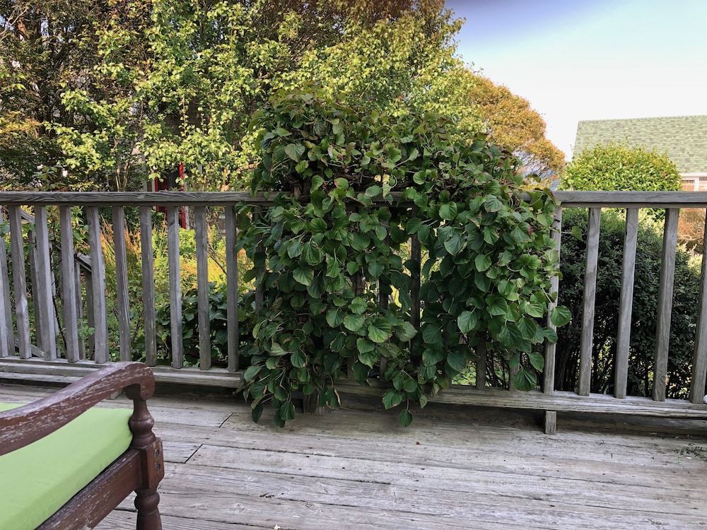 Sea Breeze Inn