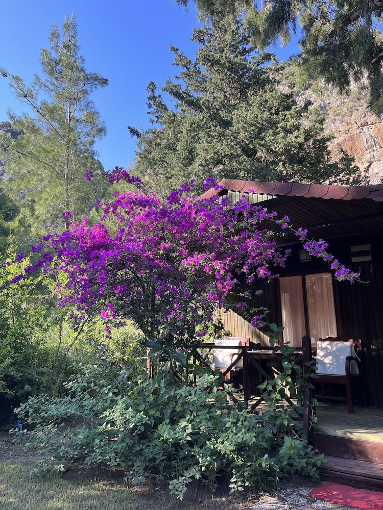 Kibala Otel - Butik Sınıf - Image 8