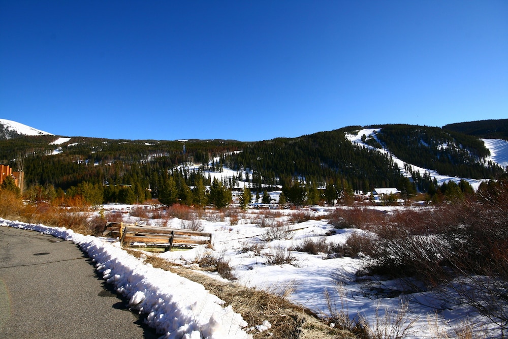 Cinnamon Ridge C114