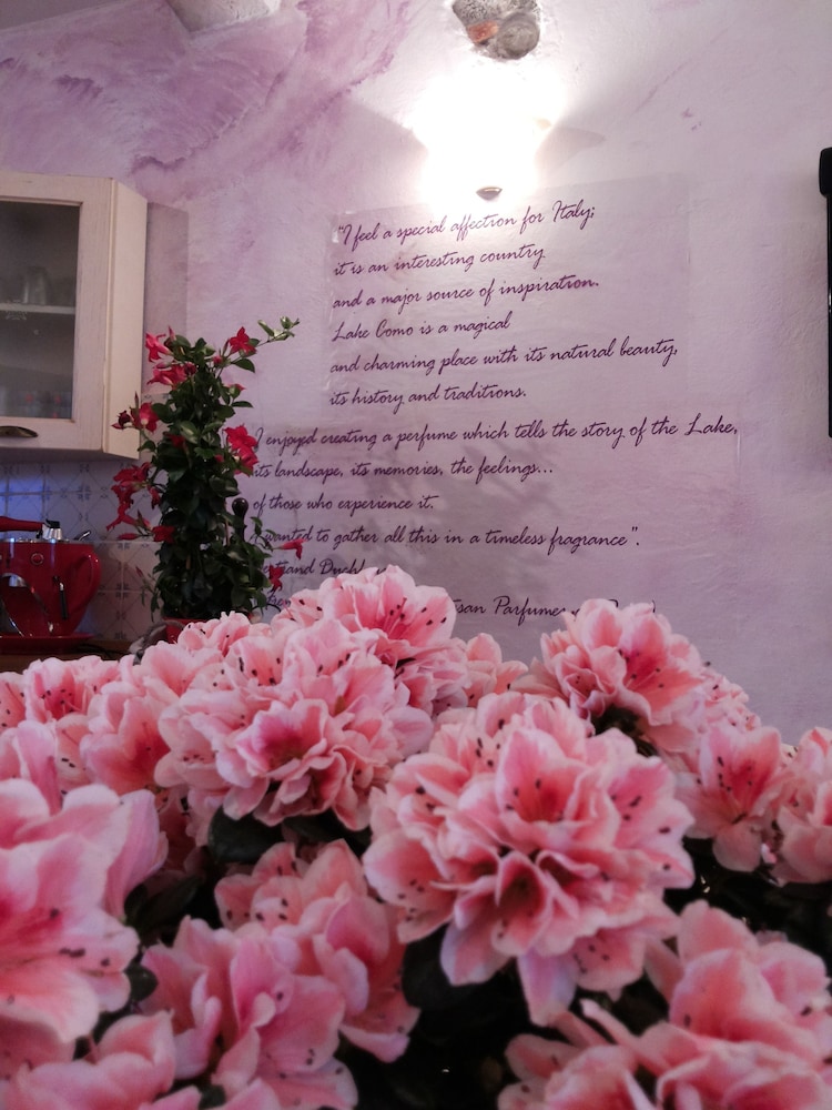 Azalea & Glicine House