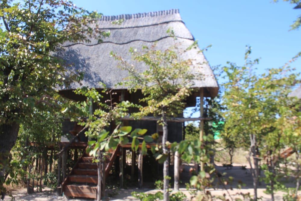 Dzibanana Lodge & Camping